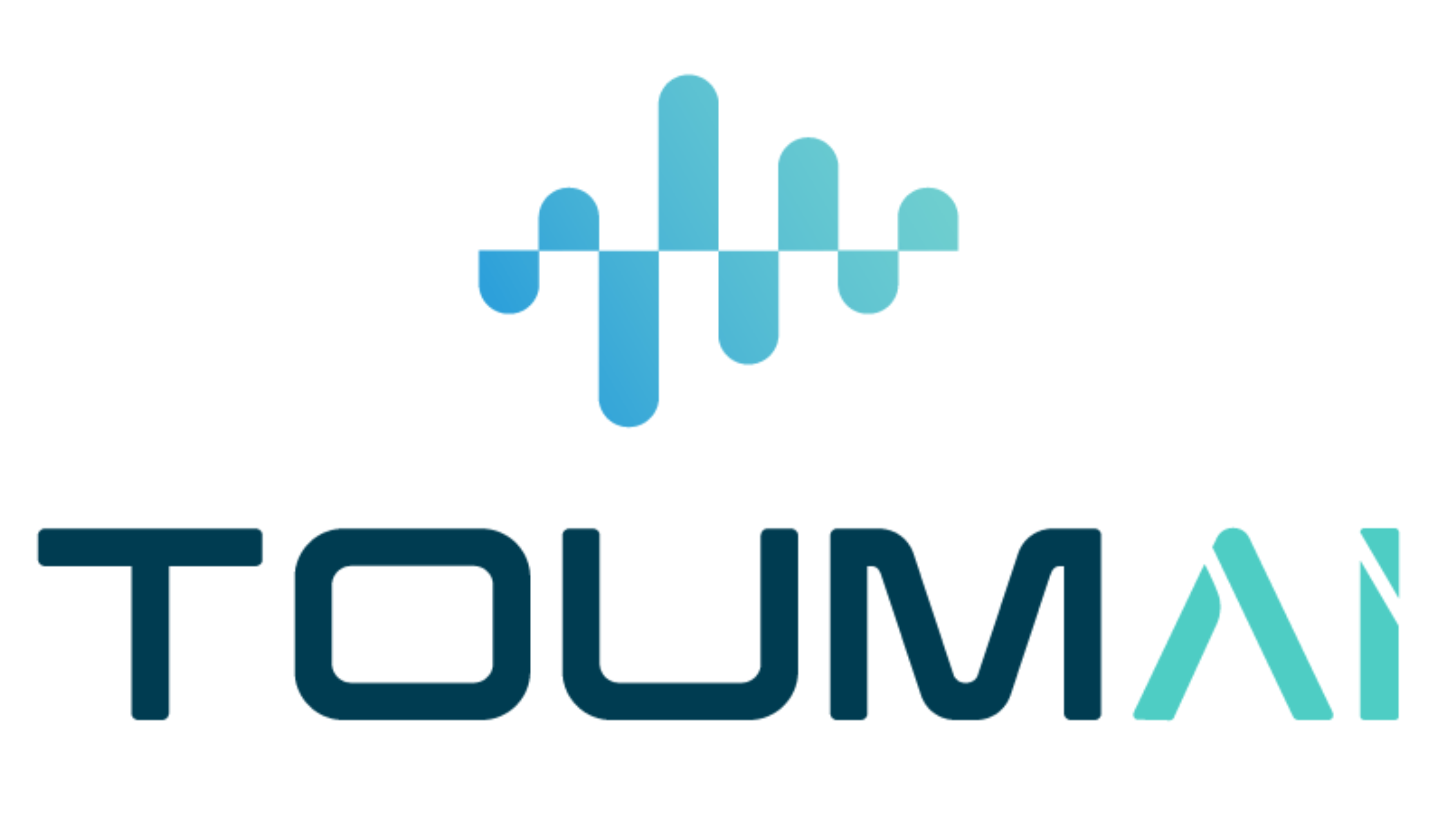 IPE - Start-up ToumAI