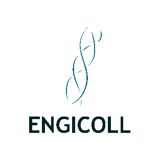 IPE - Start-up Engicoll