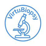 IPE - Start-up VirtuBiopsy